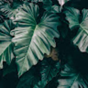 Meet your Posher, Clara